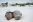 GAL_SeaLion_JMS_staff (1)(1) GAL_SeaLion_JMS_staff (1)(1)