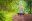 Adobe Stock © Adobe Stock ©