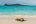 GAL_SeaLion_Shutterstock_1384084169 GAL_SeaLion_Shutterstock_1384084169
