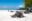 GAL_MarineIguana_shutterstock_688824982 Marine Iguanas sitting in the sand in the Galapagos