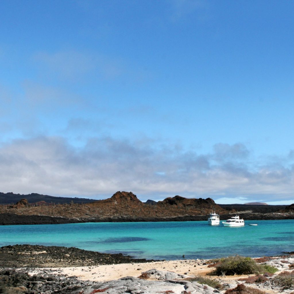Blue sea off Isabela Island in the Galapagos
