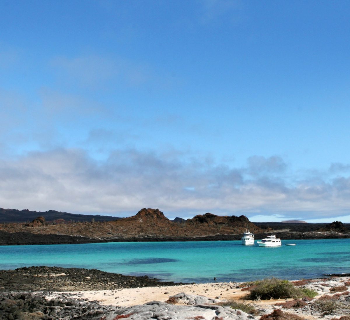 Blue sea off Isabela Island in the Galapagos