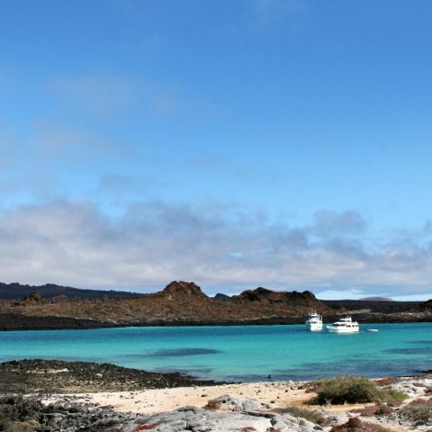 Blue sea off Isabela Island in the Galapagos