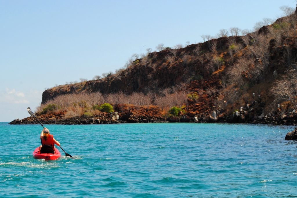 GPS_Kayaking_Tropic_Supplier (1)