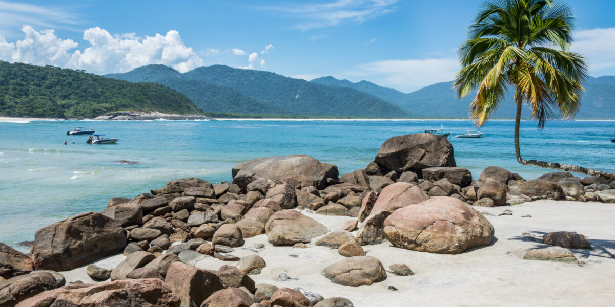 BRA_PalmTreeBeachIlhaGrande_shutterstock197153798_freewithcredit