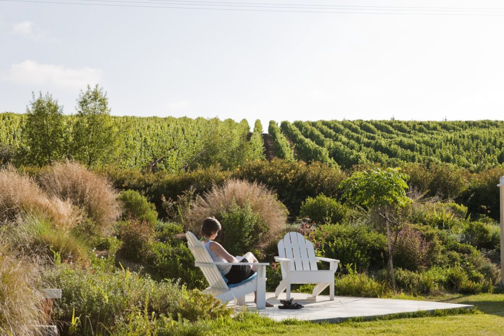 chi22-vineyards-of-the-andes-selfdrive-free-turismochile