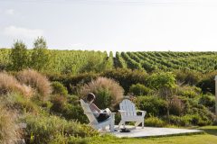 chi22-vineyards-of-the-andes-selfdrive-free-turismochile