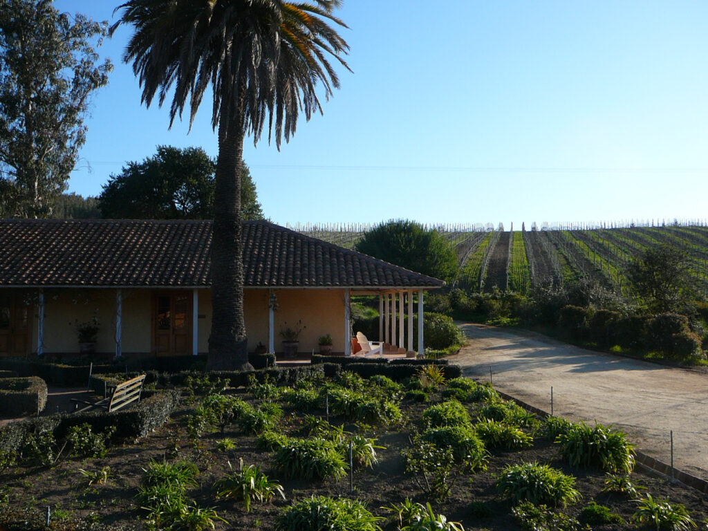 Matetic Winery