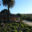 Matetic Winery