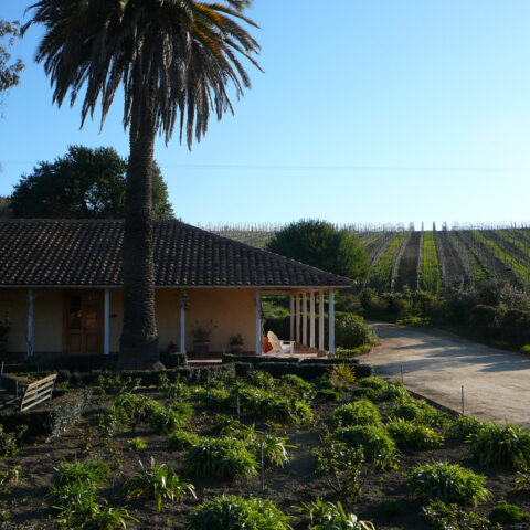 Matetic Winery