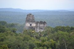 gua Tikal_Lina _ free gua Tikal_Lina _ free