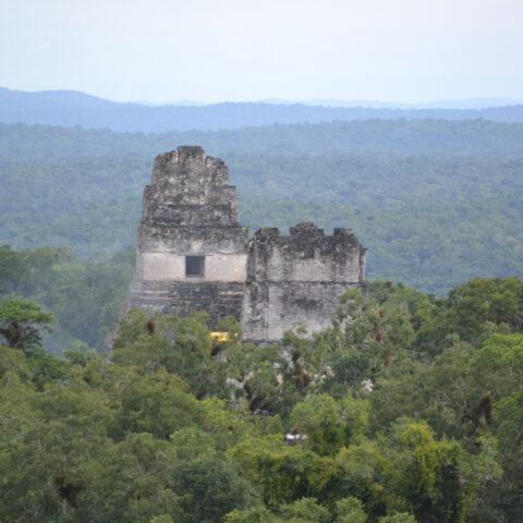 gua Tikal_Lina _ free
