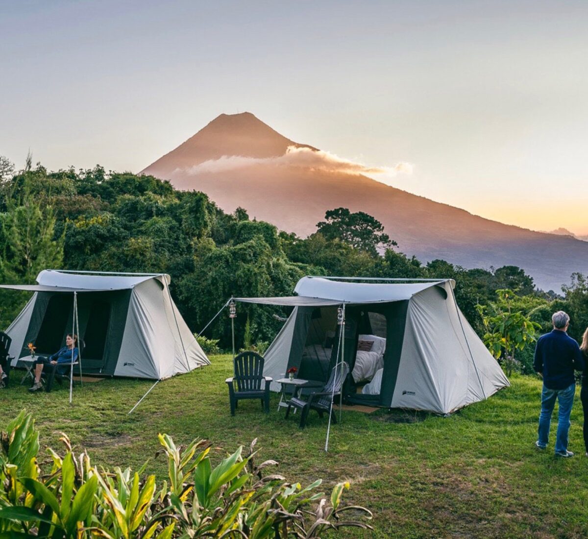 Tents set up on a grassy hill on a trek