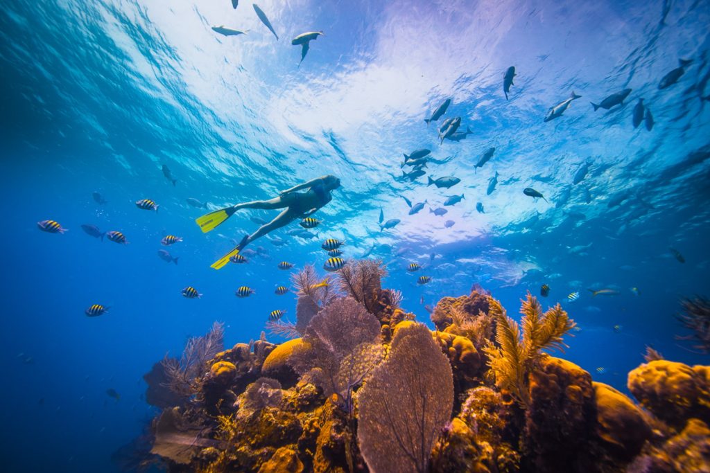 Belize Tourist Board ©