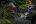 BEL_MayaMountainsAndJungle_BlancaneauxLodge (5) BEL_MayaMountainsAndJungle_BlancaneauxLodge (5)