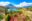 ShutterStock © ShutterStock ©