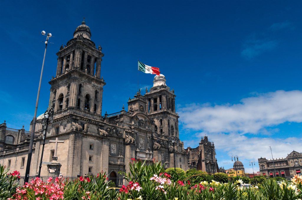 CONDOR VERDE MEXICO ©