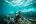 MEX_BajaCalifornia_SeaLiona_Shutterstock_1467812651 MEX_BajaCalifornia_SeaLiona_Shutterstock_1467812651