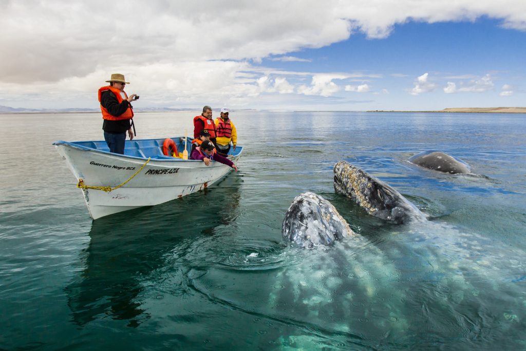 Los Cabos Tourist Board ©
