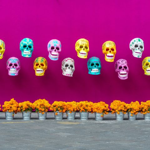 Day of the Dead