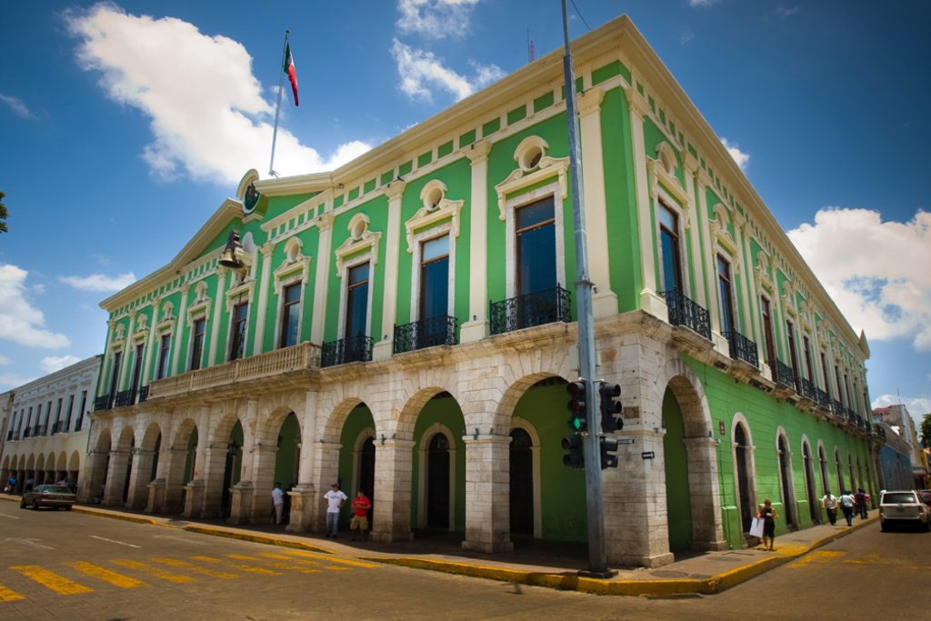 CONDOR VERDE MEXICO ©