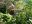 BEL_MayaMountain_ChaaCreek_HotelOwned (5)(1) BEL_MayaMountain_ChaaCreek_HotelOwned (5)(1)