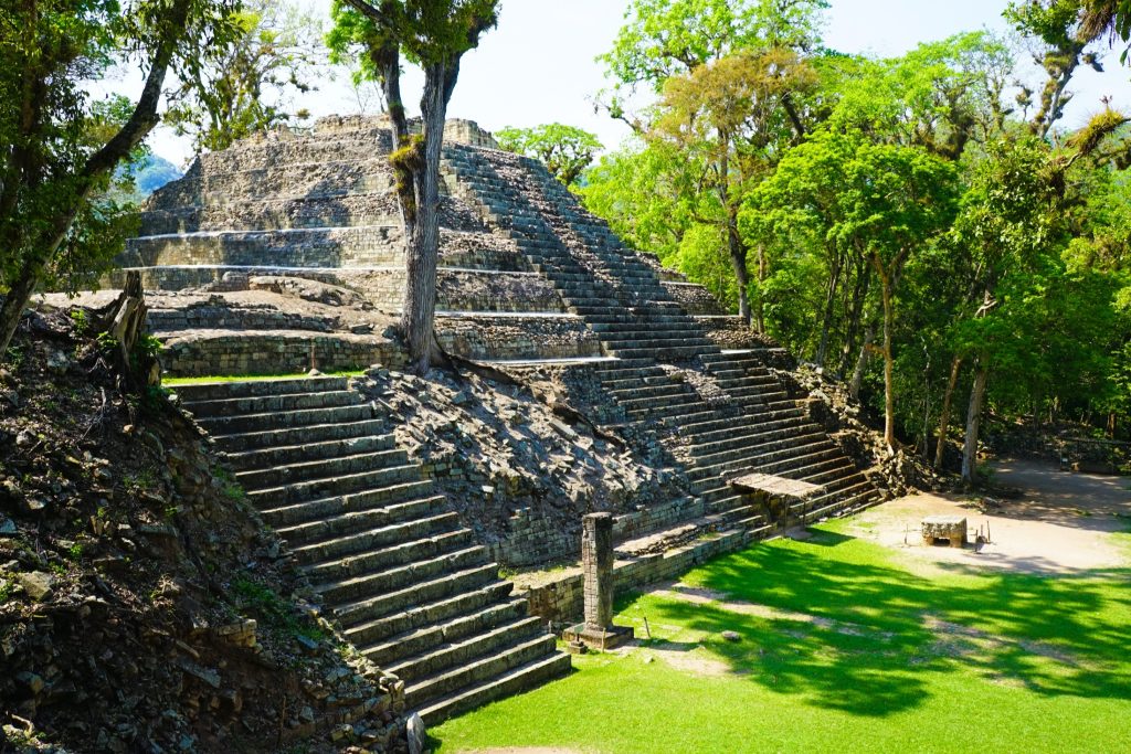 HON_Copan_Shutterstock_671409553