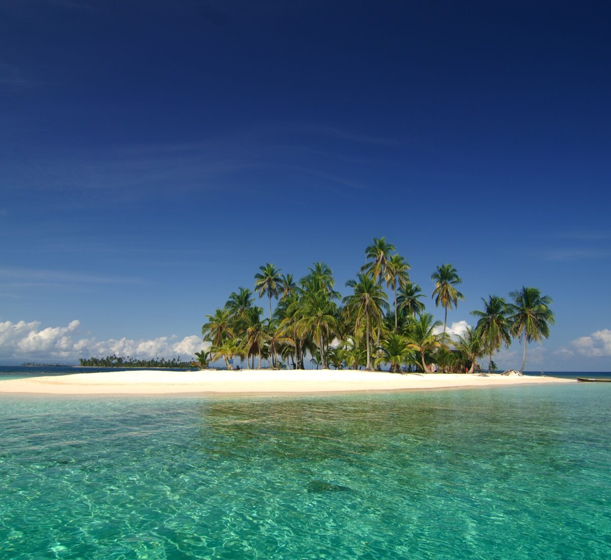 ANCON EXPEDITIONS ©