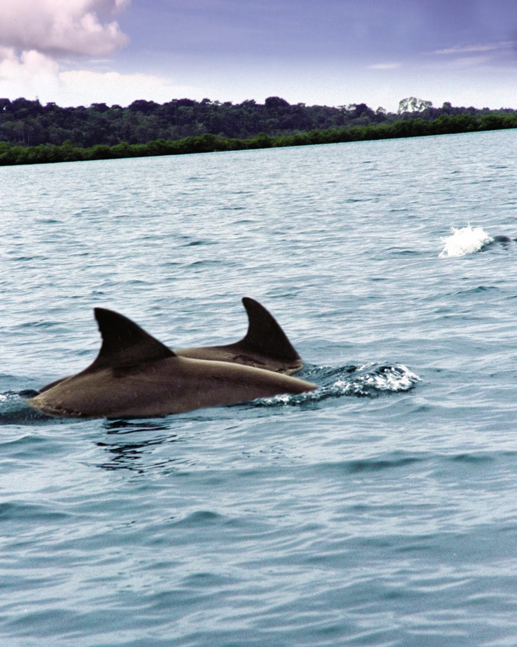Panamanian Tourist Board CATA©