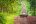 Adobe Stock © Adobe Stock ©