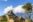 ShutterStock © ShutterStock ©