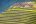 PER_SacredValley_Pisac_Shutterstock_512282050 PER_SacredValley_Pisac_Shutterstock_512282050