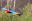 Colourful Macaws flying over the Amazon
