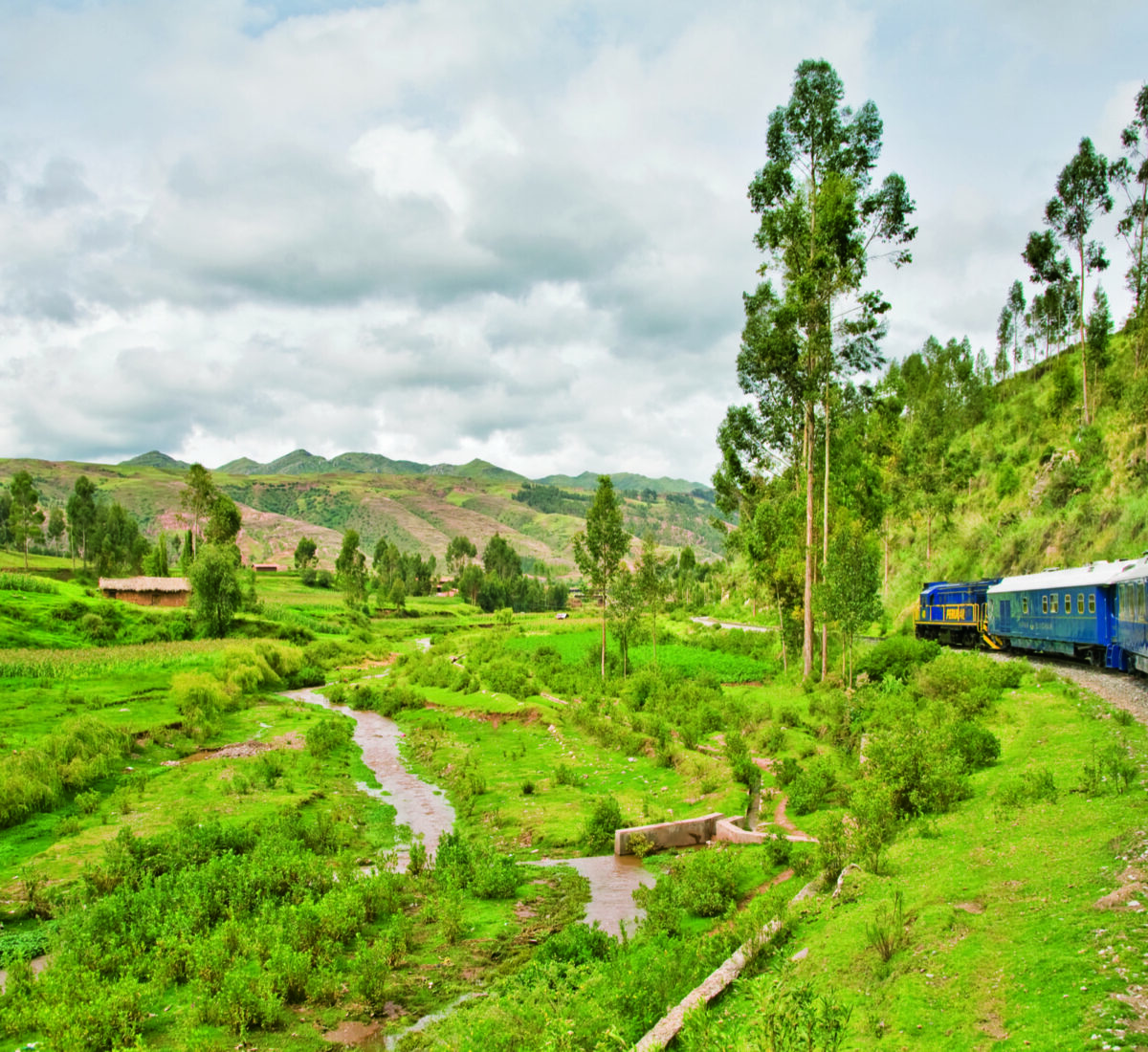 Train passing through greenery in the Peruvian Andes