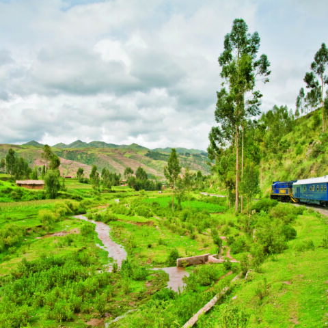 Train passing through greenery in the Peruvian Andes