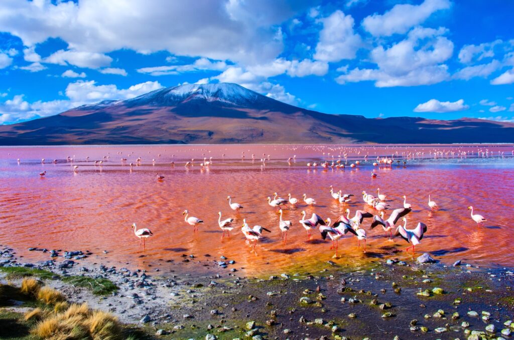 ShutterStock ©