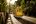 BRA_Rio_Tram_Shutterstock_1006984000 BRA_Rio_Tram_Shutterstock_1006984000