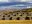 Walls in the Sacred Valley of the Incas, Peru