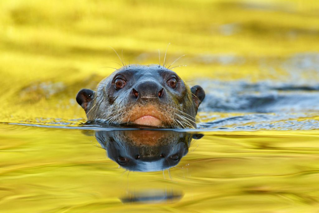 iStock ©