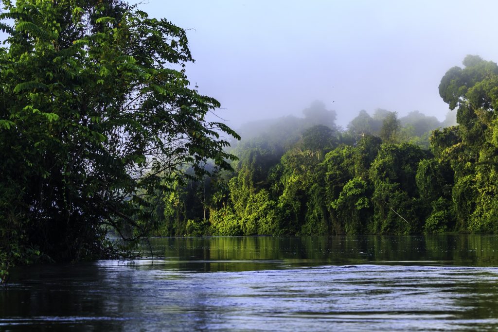 Mist over the sur river