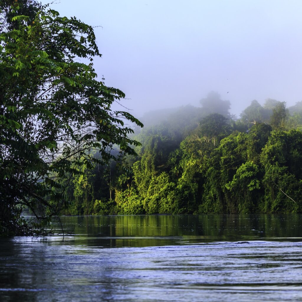 Mist over the sur river