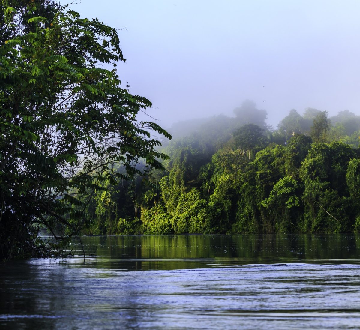 Mist over the sur river