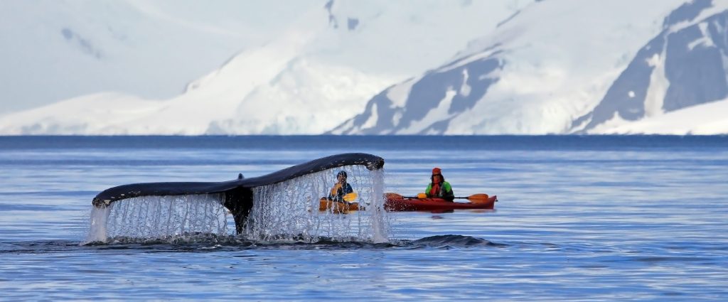 Ocean Endeavour