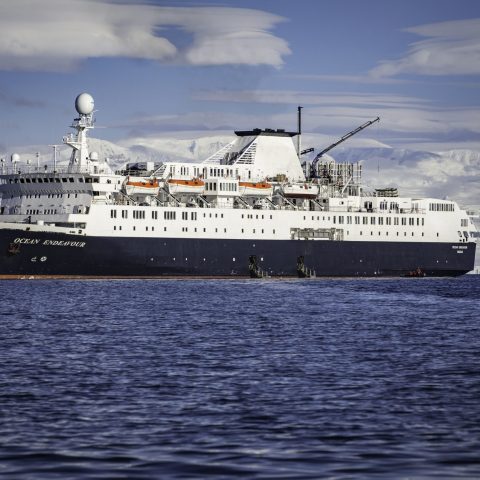 ANT_OceanEndeavour_IntrepidTravel_Supplier (1) Ocean Endeavour