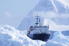 ANT_Ortelius_Oceanwide (2)