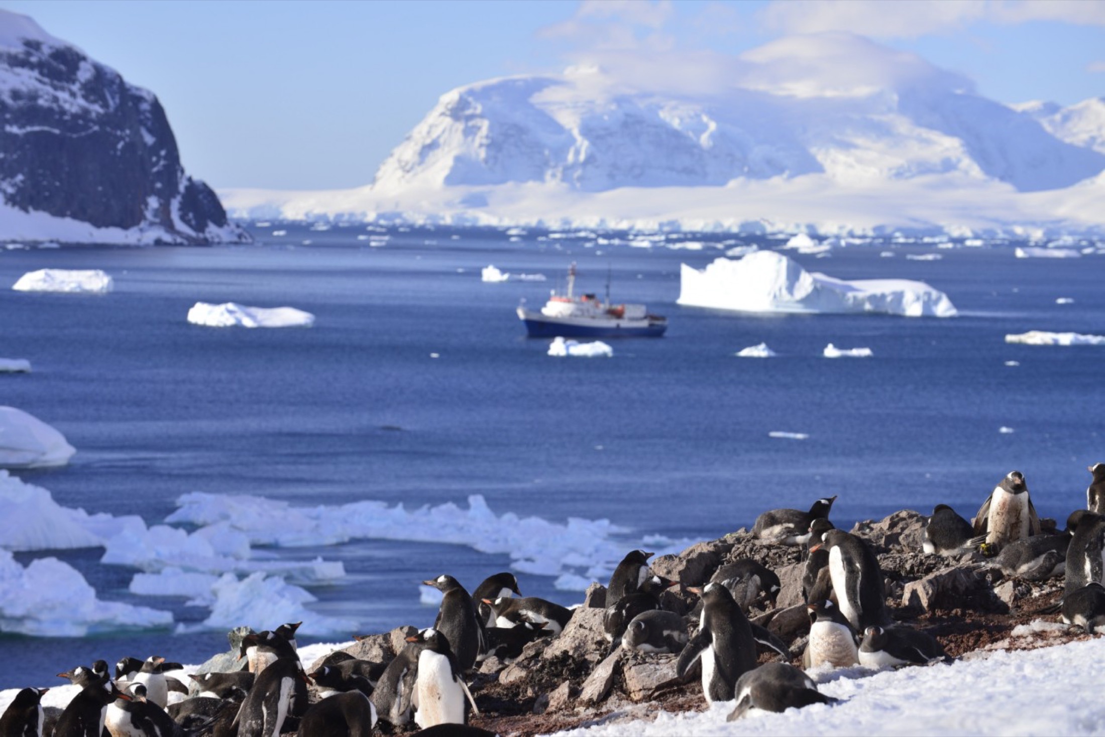 Ushuaia Cruises - Antarctica - Journey Latin America