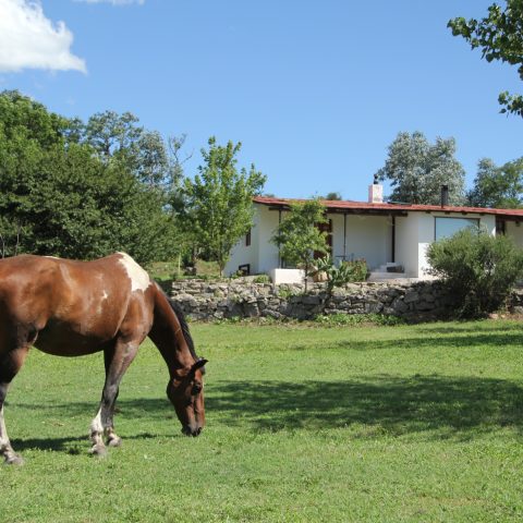 Estancia Los Potreros