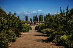 Cavas Wine Lodge