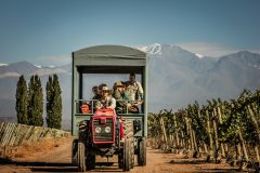 Cavas Wine Lodge