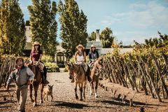 Cavas Wine Lodge
